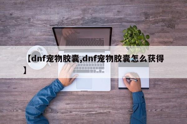 【dnf宠物胶囊,dnf宠物胶囊怎么获得】