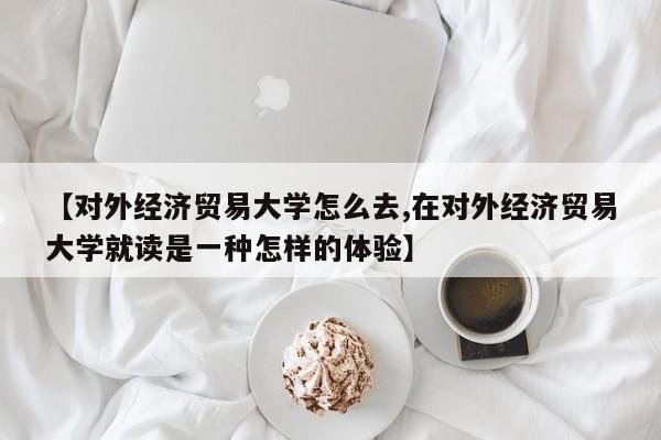【对外经济贸易大学怎么去,在对外经济贸易大学就读是一种怎样的体验】
