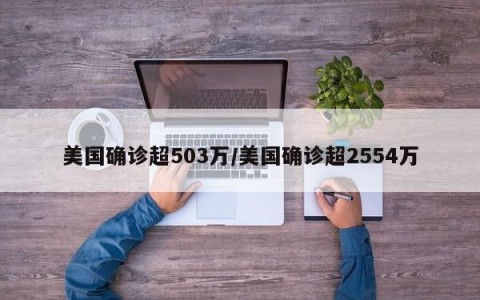 美国确诊超503万/美国确诊超2554万