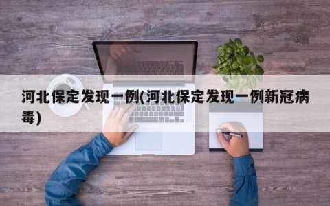 河北保定发现一例(河北保定发现一例新冠病毒)