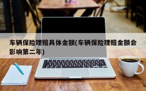 车辆保险理赔具体金额(车辆保险理赔金额会影响第二年)