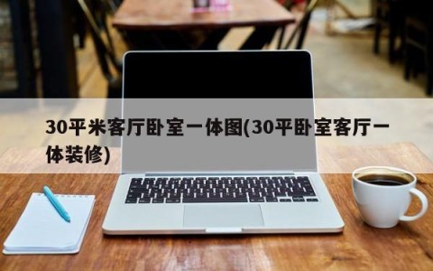 30平米客厅卧室一体图(30平卧室客厅一体装修)